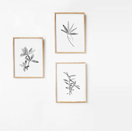 Botanik Seti, Minimalist Doğa Sanatı