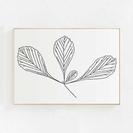 Minimalist Botanik İllüstrasyon, Sanat, Siyah Beyaz