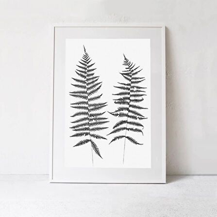 Büyük Botanik, Eğrelti Otu Posteri, Siyah Beyaz Botanik Duvar Sanatı