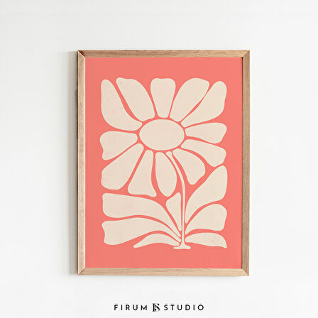 Kırmızı Botanik Sanatı, Çiçek İllüstrasyonları, Renkli Duvar Sanatı, Orta Yüzyıl Modern