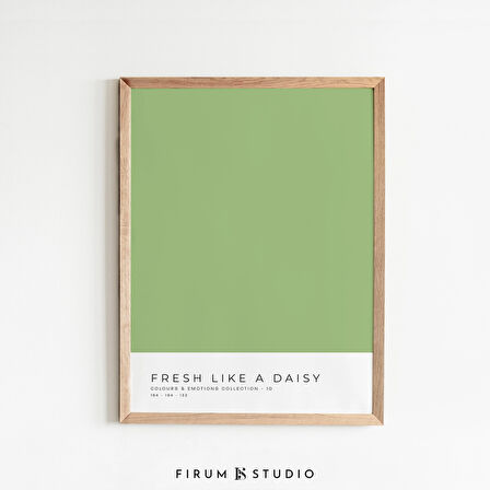 Renk Blok Sanatı, Pastel Yeşil Sanat, Pastel Kidcore, Danimarka Pastel Dekoru