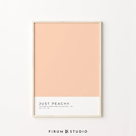 Renk Blok Sanatı, Pastel Şeftali, Danimarka Pastel Dekoru, Minimal