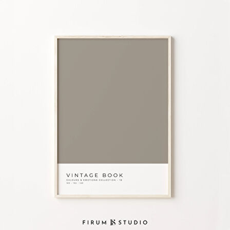 Renk Bloklu Sanat, Orta Yüzyıl Modern, Minimalist Poster, Nötr Duvar Sanatı, Modern Oda Dekoru