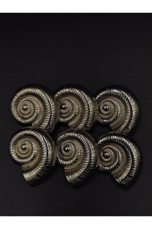 Metal Düğme Salyangoz Kabuğu 28 mm 6 Adet Free Nickel