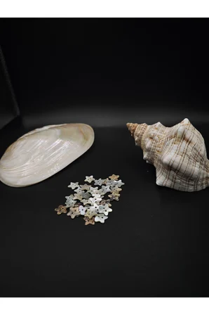 doğal yıldız düğme seti(24 adet/1,4 cm- 22 boy)