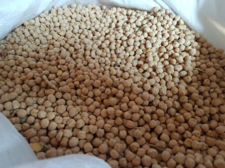 Little Sister's Farm Ata Tohum Yerli Nohut 1 Kg