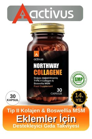 NORTHWAY TYPE II COLLAGEN 30 KAPSÜL