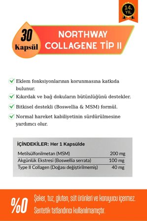 NORTHWAY TYPE II COLLAGEN 30 KAPSÜL