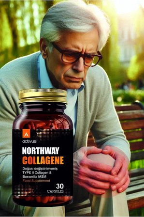 NORTHWAY TYPE II COLLAGEN 30 KAPSÜL