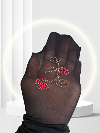 Bitter 20 Den Siyah Yanı Çiçek Silüetli Pullu/Taşlı Külotlu Çorap