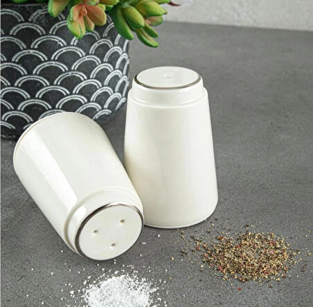 Gümüş yaldızlı porselen Tuzluk Biberlik