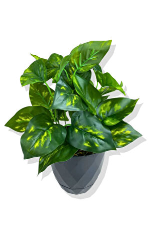 Yapay Mini Saksıda Salon Sarmaşığı 28 Cm Antrasit Saksı