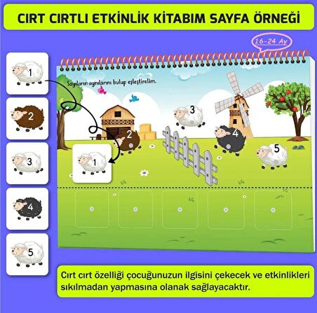 16-24 Ay ve 2-4 Yaş Konuşma ve Dikkati Geliştiren Cırt Cırtlı Etkinlik Kitabım İkili Set 