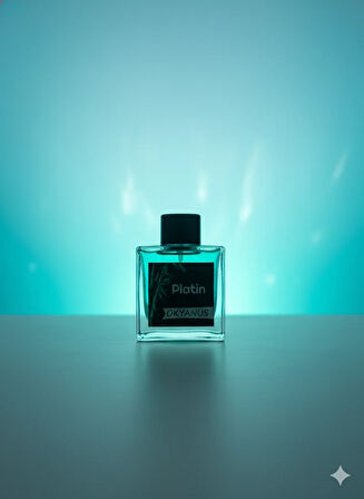 Platin Okyanus Bambu Çubuklu Oda Kokusu 100ml