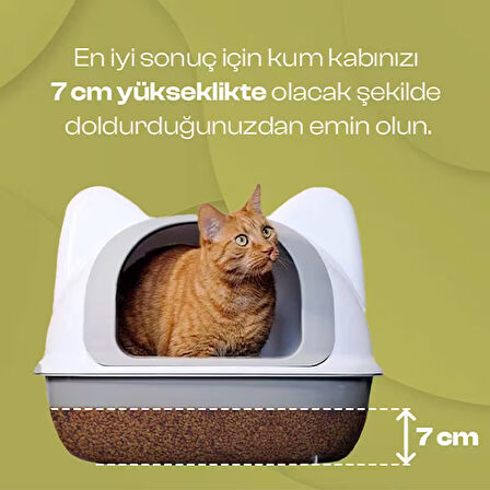 Olivacat Zeytin Çekirdeğinden Üretilen Aktif Karbonlu Tozsuz Doğal Kedi Kumu 8 L (2 Adet)
