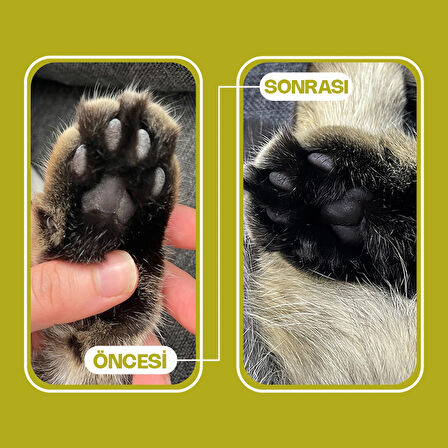 Zeytin Çekirdeğinden Üretilen Doğal Tozsuz Kedi Kumu 7 L
