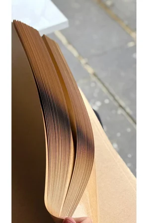 180 gr Tek Taraflı Laminasyonlu Silikonlu Oto Paspas 35x50 cm Suya Dayanıklı Dezenfektanlı 50 Adet