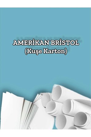 425 Gr. Amerikan Bristol Kağıt Karton 50x70 50 Adet (7,4375 KG)