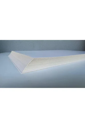 210 Gr. Amerikan Bristol Kağıt Karton 21x29,7 A4 Ebatında 50 Adet (0,65 KG)
