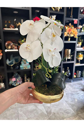 Yapay Orkideli Küçük Boy Çizgili Yassı Vazo No:2