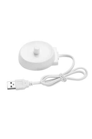 D12, D16, D10, P2000, P4000, P6000 ve D34 ile Uyumlu elektrikli Diş Fırçası Usb Şarj Cihazı