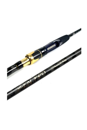 Wave Power 4000 274cm 8-42gr Zen Pro Karbon Kıyı Spin Olta Takımı Seti