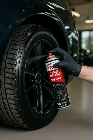 4 Parça Profesyonel Oto Temizlik Seti , Motor, Lastik, Torpide ve Araç Temizleme Mop