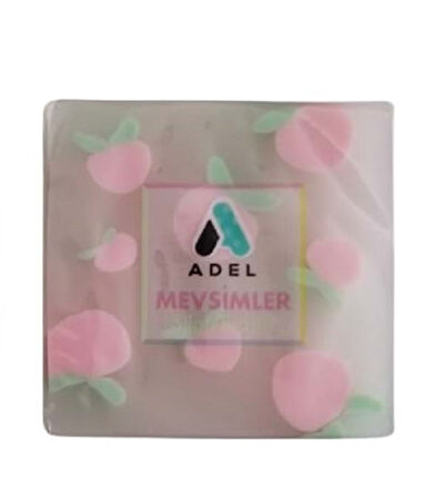 Mevsimler Silgi 1 adet