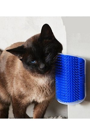 Kedi Kaşıma Kaşınma Aparatı Catit Kedi Nanesi Hediyeli Yavru Ve Yetişkin Kedi Oyuncağı