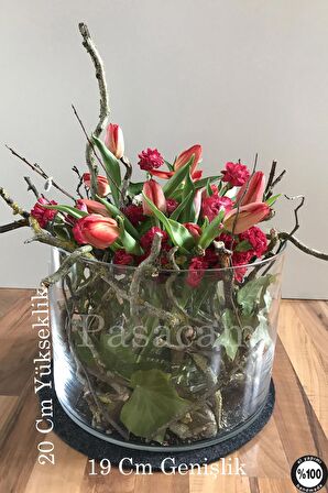 Silindir Cam Vazo Delizli El İmalat Teraryum Büyük Saksı 2'li 19 Cm Genişlik 20cm 40 cm En Geniş Boy