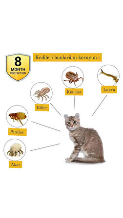  Küçük Irk Köpek Ve Kedi Kene- Pire Tasması Doğal Yağlar(KUTUSUZ) 38 Cm