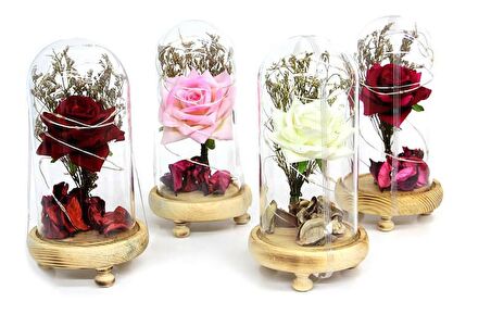 Fanus Gül 19/10cm Led Işıklı Cam Fanuslu Hediyelik