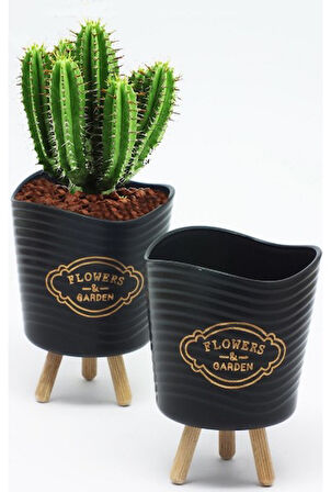 Ahşap Ayaklı Mini Saksı - Çok Amaçlı Sunum Sepeti (2 Adet )