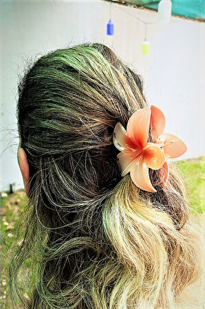 Ten Lotus Çiçek Parlak Akrilik Kadın Mandal Toka