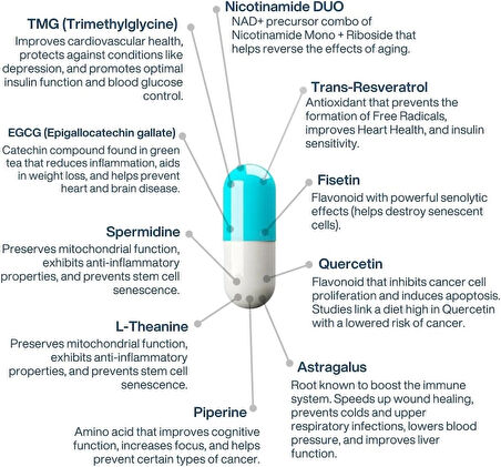 Perpetua Life AEON Liposomal NAD+ Longevity Complex, with NAD+, NR, Trans Resveratrol, Quercetin, Fisetin, L Theanine, TMG, EGCG, Spermidine, Astragalus, Anti-Aging Vegan, 60 Capsules