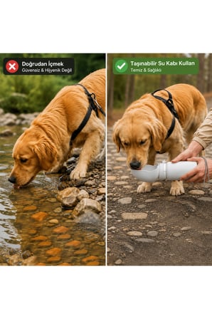 Kedi Köpek Evcil Hayvan İçin Taşınabilir Katlanabilir Silikon Su Kabı Su Şişesi Seyahat Suluk 550ml Sızdırmaz