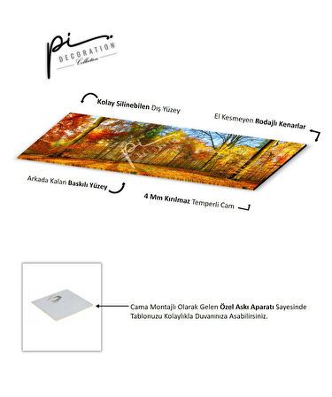 Orman Panoramik Cam Tablo | Hediyelik, Dekoratif, Ofis, Mutfak 