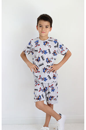 Erkek Çocuk Dinazor Desen Kaprili Basic Takım Takım 