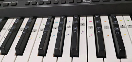 Renkli Piyano Org Klavye Tuşları Için Nota Sticker Etiketi Aksesuarı 37-49-54-61-88 Uygun