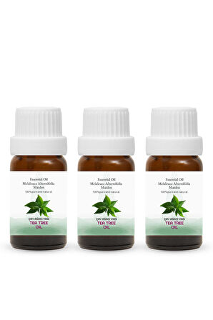 PROCLİS Çay Ağacı Yağ, Uçucu Yağ, Tea Tree Oil, 3'lü Set 3x10 ml