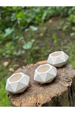 Tasarım Mini Saksılık Kaktüs Ve Sukulentlik 3'lü Set