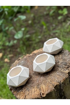 Tasarım Mini Saksılık Kaktüs Ve Sukulentlik 3'lü Set