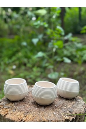 Tasarım Mini Saksılık Kaktüs Ve Sukulentlik 3'lü Set