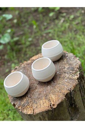 Tasarım Mini Saksılık Kaktüs Ve Sukulentlik 3'lü Set
