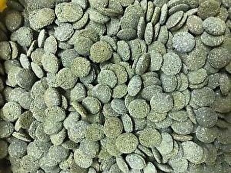 Jbl Novo pleco Vatoz için tablet yem 100 Gr Kovadan Bölme