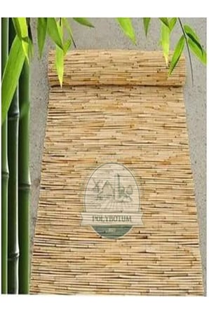 200x600 Dekoratif Doğal Bambu Kamış Hasır Bahçe Çiti- Gölgelik Hasır -balkon -tavan Dekorasyon