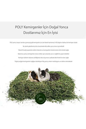 POLY Kemirgen DOĞAL KURU YONCA KEMİRGEN OTU-TAVŞAN-GİNEPİG-HAMSTER 3000 Gr
