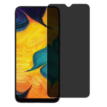 Samsung Galaxy A20 ve A30 Uyumlu Görünmez Hayalet Full Kaplayan Ekran Koruyucu Cam