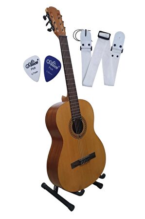 Prs-01 Gitar Standı Gitar Askısı ve 2 Pena