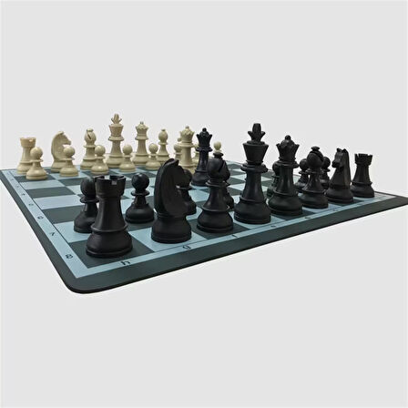 Profesyonel Satranç Takımı